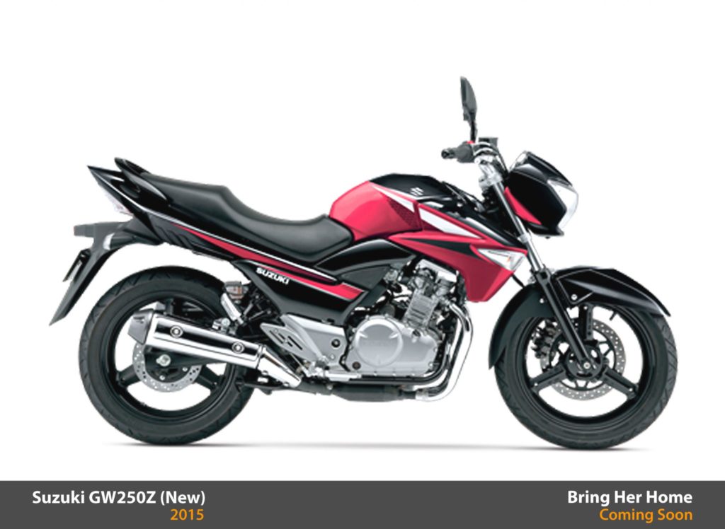 Suzuki GW250Z Non ABS 2015 (New)