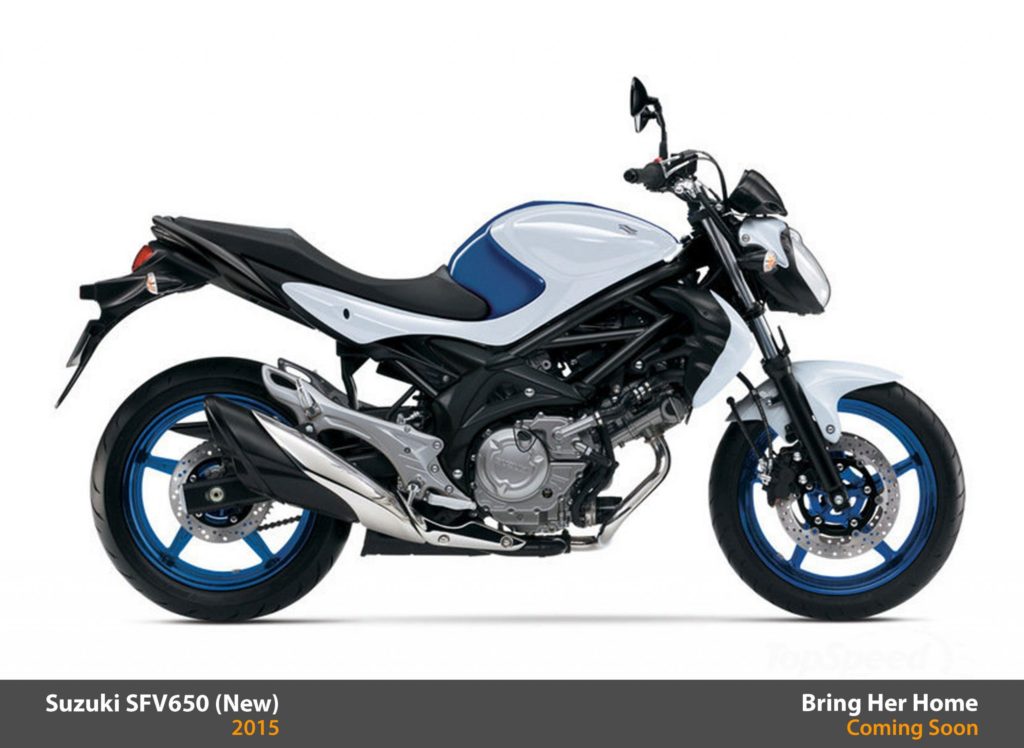 Suzuki SFV650 ABS 2015 (New)